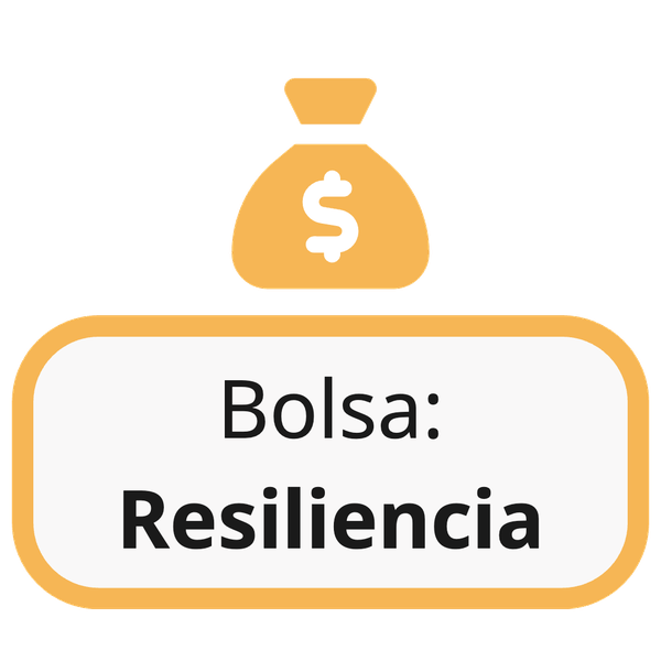 Bolsa de Resiliencia