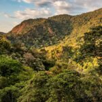 Bosque de montaña al atardecer en Colombia, territorio del Fondo de Regeneración Territorial